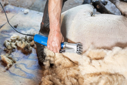 Aesculap Fårklippningsmaskin Econom NOVA GT474