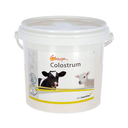 Globigen Colostrum – Råmjölksförstärkare med naturliga immunglobuliner
