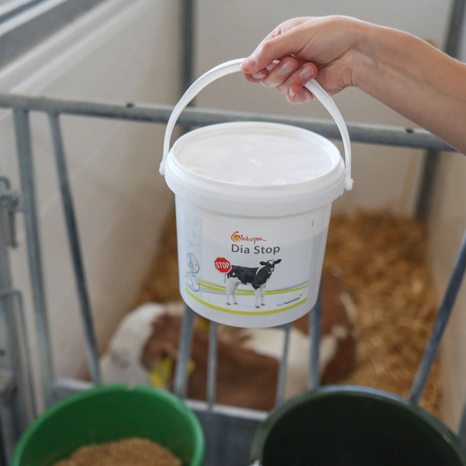 Globigen Dia Stop 2 kg – Pasta för kalvar vid diarré