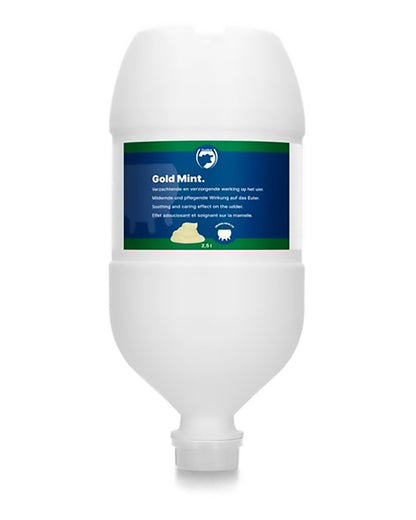 Gold Mint pepparmint salva