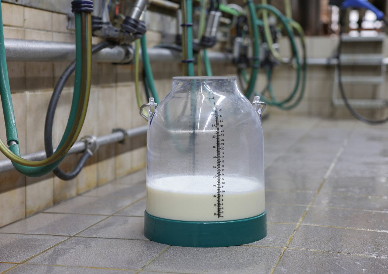 Plast mælkespand, 30L