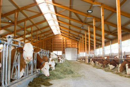 LED Hallstrålkastare, dimbar