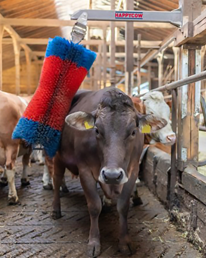 Ryktborste Happy Cow free Maxi
