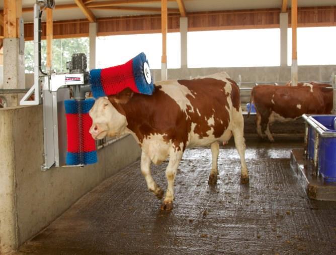 Huhusivellin Happy Cow Duo