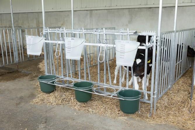 Spandholder 5 pladser