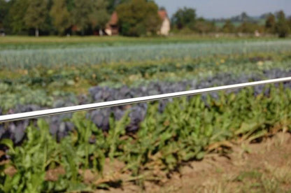 Horse Wire Premium 250m