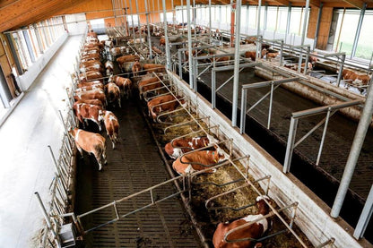 Övervakningskamera IPCam 360 FHD