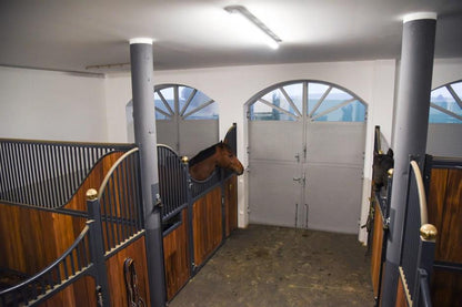 Övervakningskamera IPCam 360 FHD