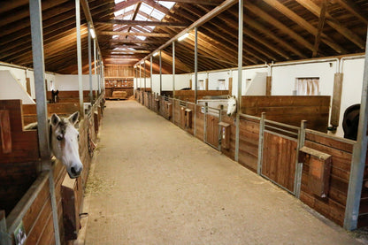 Övervakningskamera IPCam 360 FHD Compact