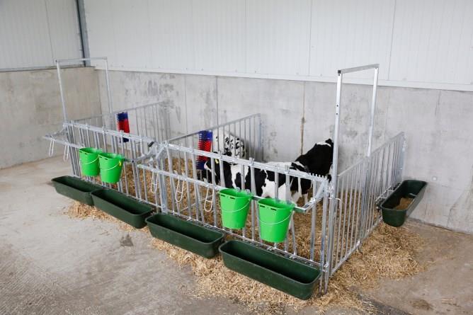 Kalvbox i moduler grind