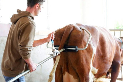 Kalvutdragare 2020 med plastansats och bygel