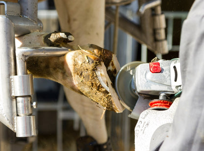 Klövfrässkiva i aluminium