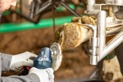 Klövfrässkiva i aluminium