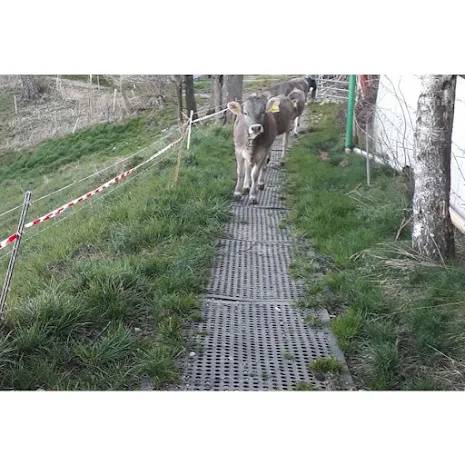 Kraiburg LOMAX – Markstabiliseringsmatta för leriga och mjuka underlag (24 mm)