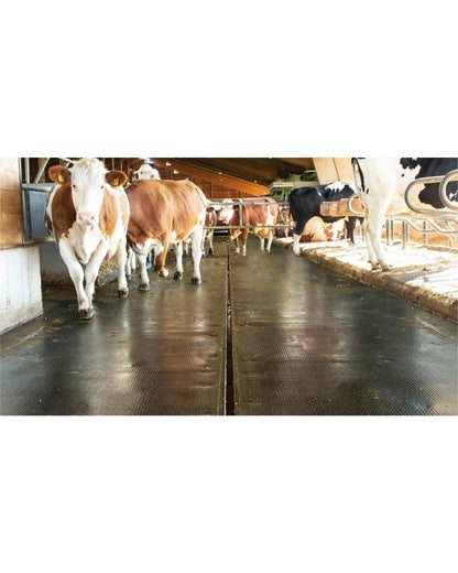 Kraiburg KURA Form – Skräddarsydd gummimatta 24 mm med installationsplan för stallgångar och mjölkningsytor