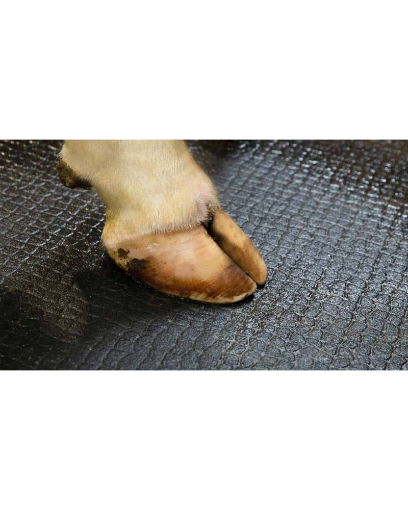 Kraiburg KURA Form – Skräddarsydd gummimatta 24 mm med installationsplan för stallgångar och mjölkningsytor