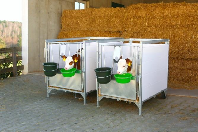 Kalvbox liten