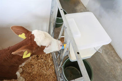 Lock till kalvbar 13 liter