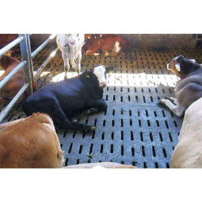 Kraiburg LOSPA Swiss – Förstärkt gummimatta 20 mm för spaltytor