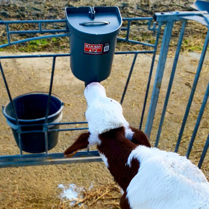 Milk Bar 1L - Napphink med lock för kalv