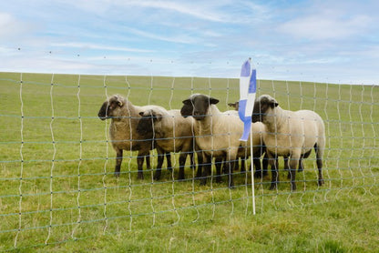 Susiverkko Ovinet Maxi 50m