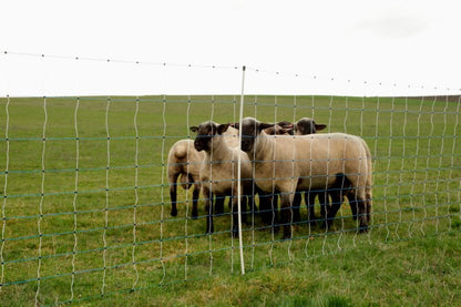 Susiverkko Ovinet Maxi 50m