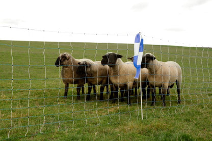 Susiverkko Ovinet Maxi 50m