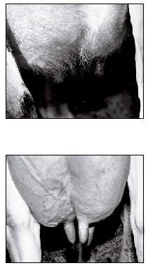 Juverhårbrännare Preventa