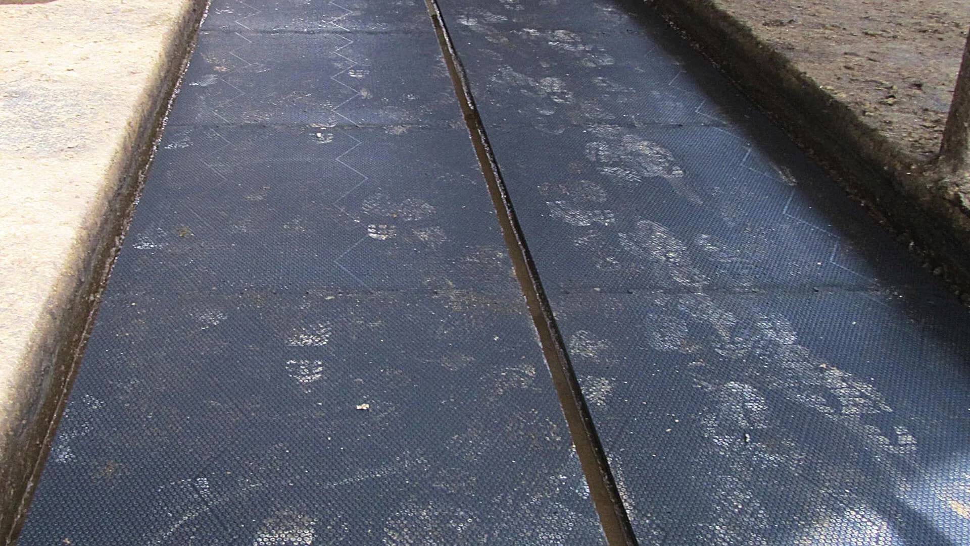 Kraiburg profiKURA P – Korundbelagd gångmatta 24 mm för stallgångar med gödselskrapa (bredd i 2 cm steg)