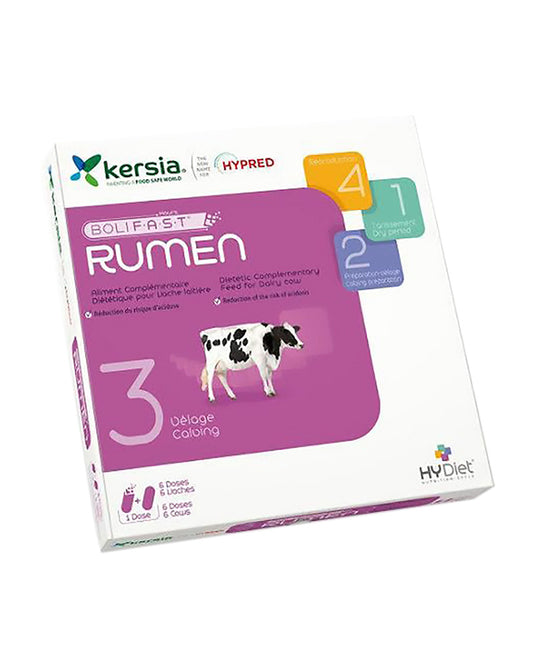 Kersia Rumen 12-s