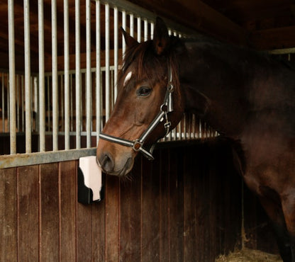 Saltstenhållare 2 kg