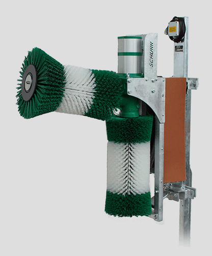 Ryktborste Schurr B00