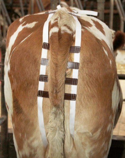 Sele livmoderframfall