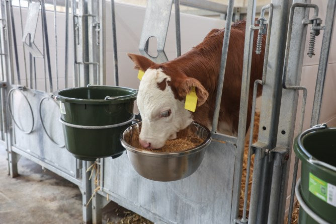 Syöttökulho ruostumatonta