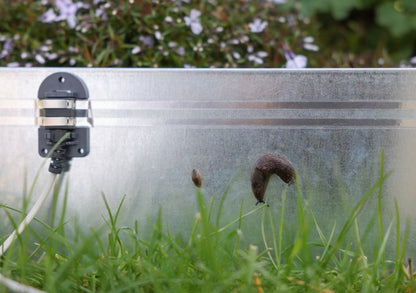 Sneglestop elektrisk sneglehegn