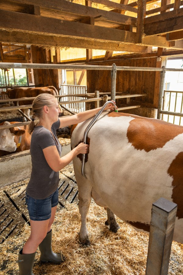 Sparkbåge med Quick-Release System i rostfritt stål