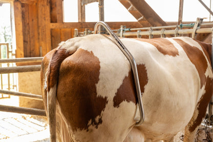 Sparkbåge med Quick-Release System i rostfritt stål