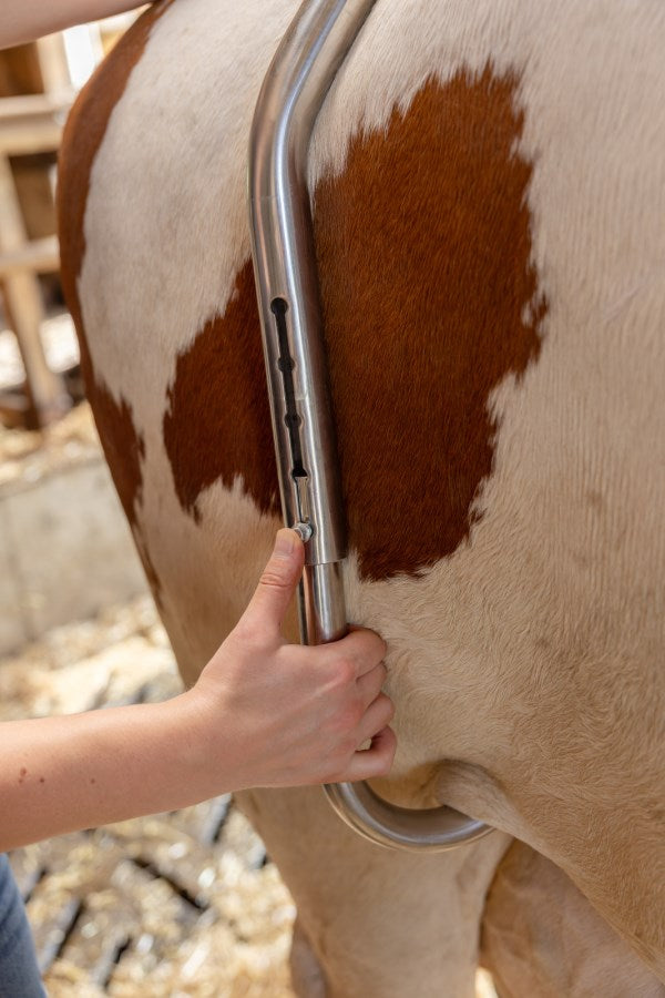 Sparkbåge med Quick-Release System i rostfritt stål