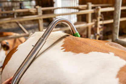 Sparkbåge med Quick-Release System i rostfritt stål