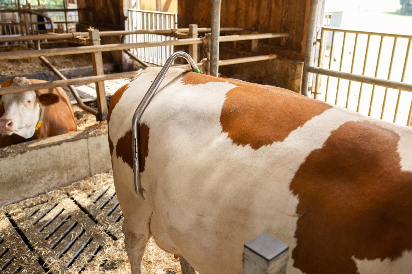 Sparkbåge med Quick-Release System i rostfritt stål