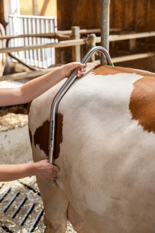 Sparkbåge med Quick-Release System i rostfritt stål