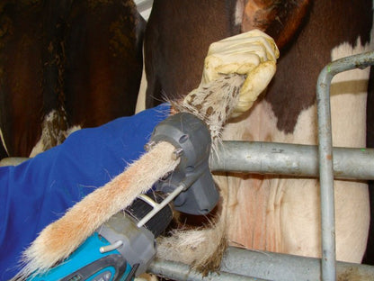 Halekutter Hale godt