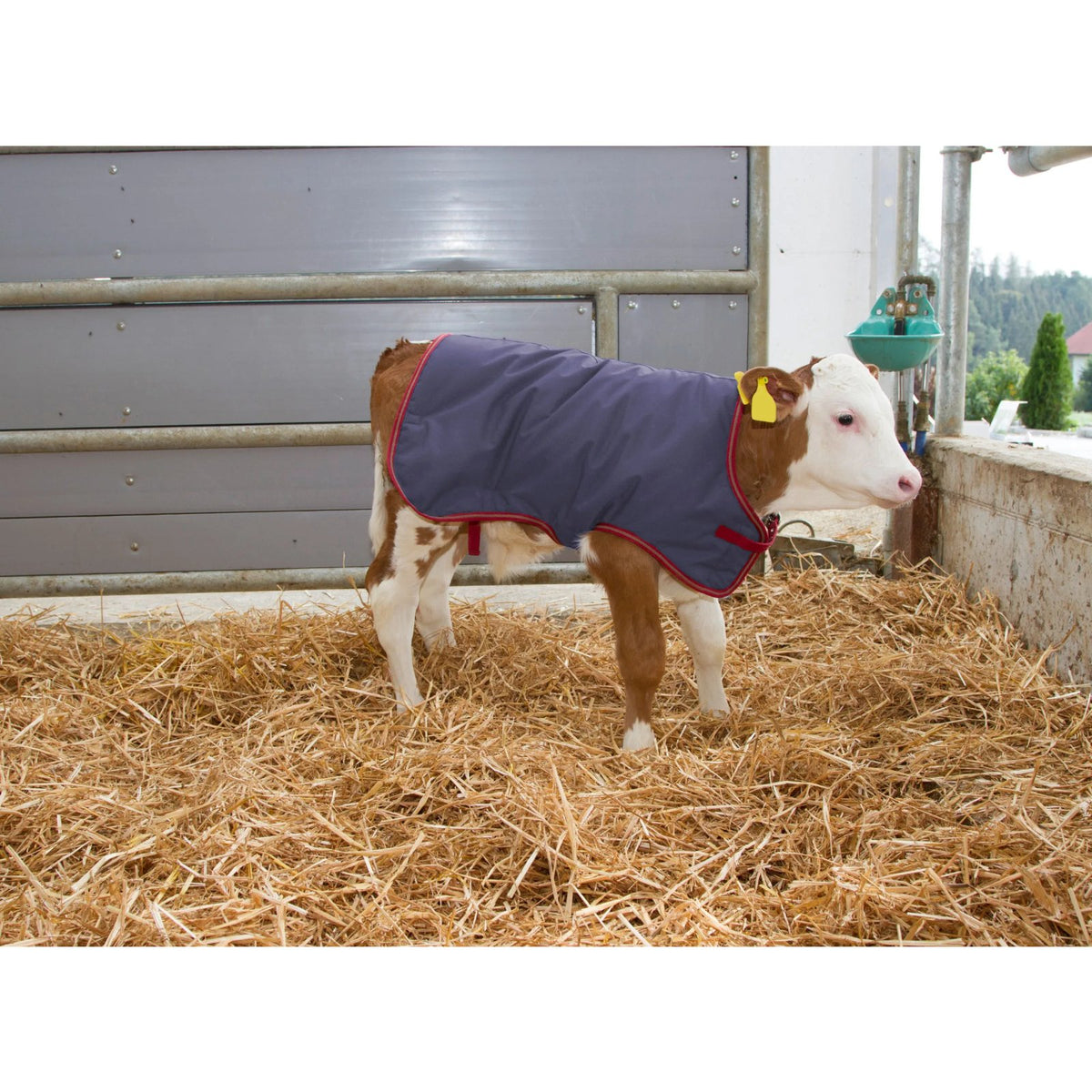 ThermoPlus kalvetæppe