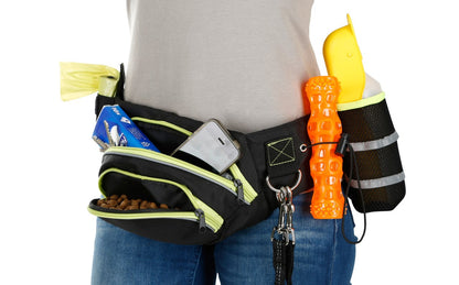 Träningsmidjebälte Active