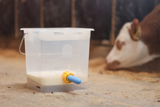 Calfable läpinäkyvä valkoinen 13l