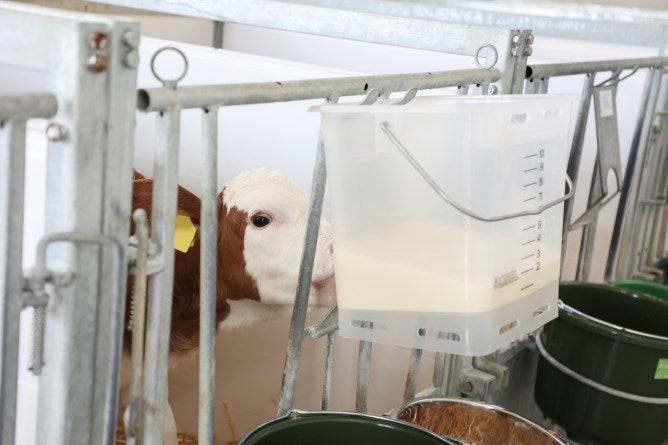 Calfable läpinäkyvä valkoinen 13l