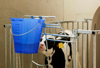 Kalvbar transparent 8L