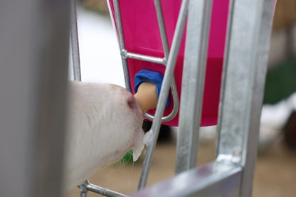 Kalvbar transparent 8L