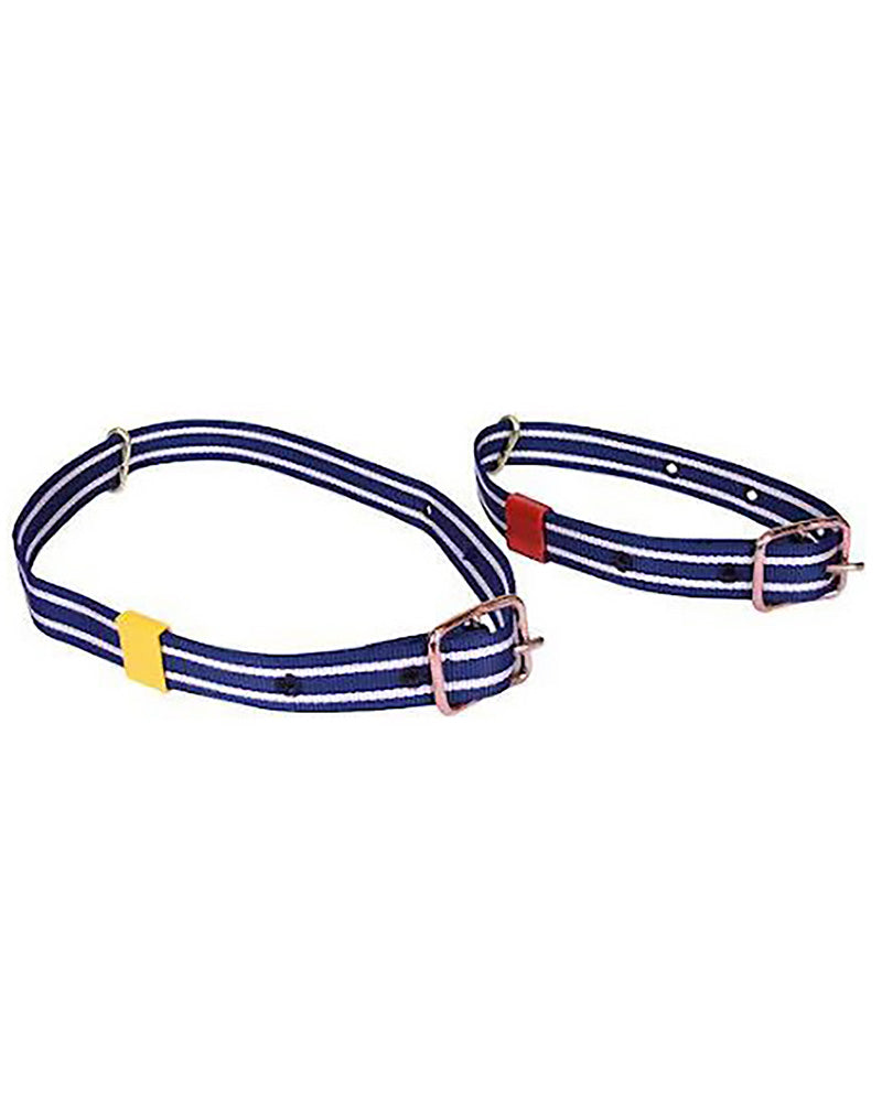 Transponderhalsband