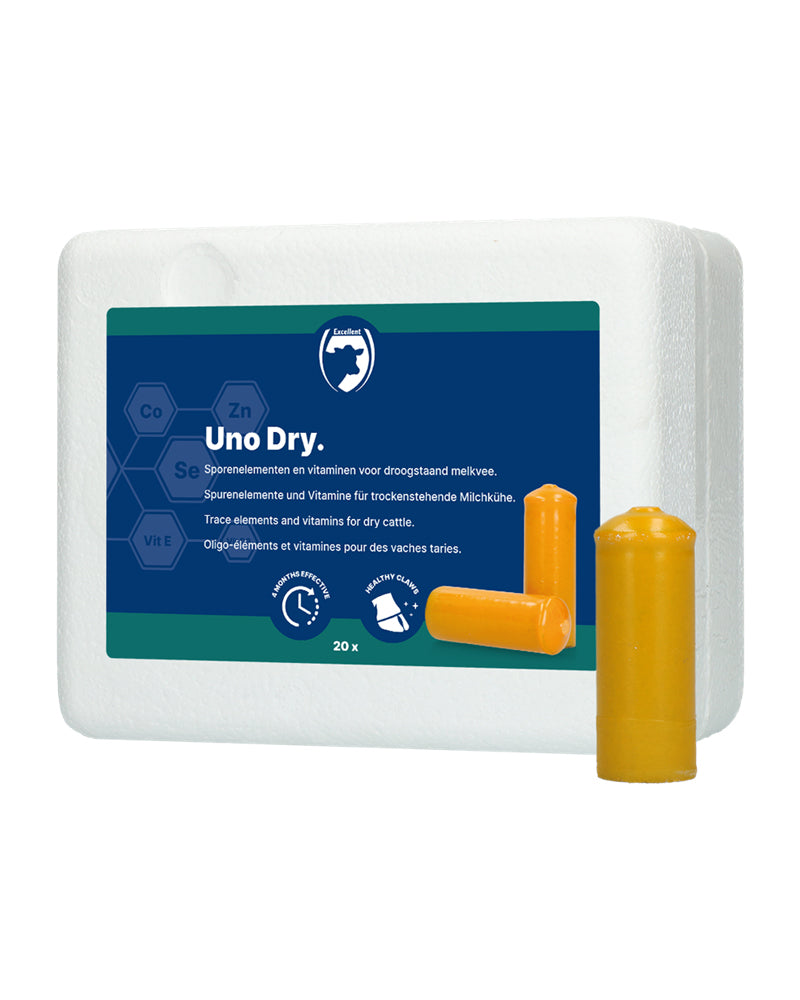 Uno Dry 20-p – mineral- och biotinbolus för torrperiod, förpackning